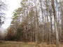 Property Listing #9 Image 2 of 4