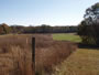 Property Listing #1 Image 7 of 7