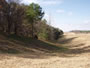 Property Listing #3 Image 4 of 4