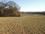 Property Listing #5 - Image 2 of 3